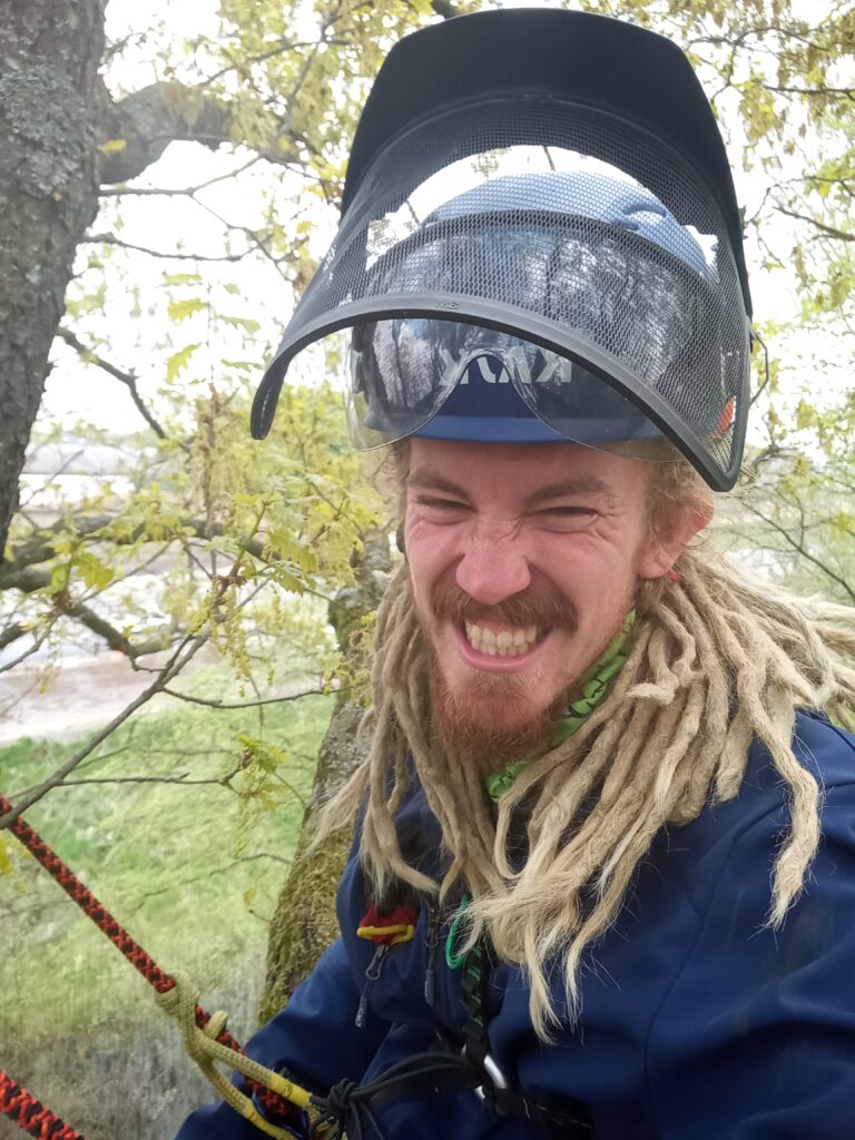 Baumpfleger Kalle Quabeck bei der Arbeit im Baum